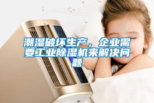 潮濕破壞生產,企業需要工業除濕機來解決問題
