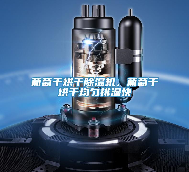 葡萄干烘干除濕機(jī),葡萄干烘干均勻排濕快