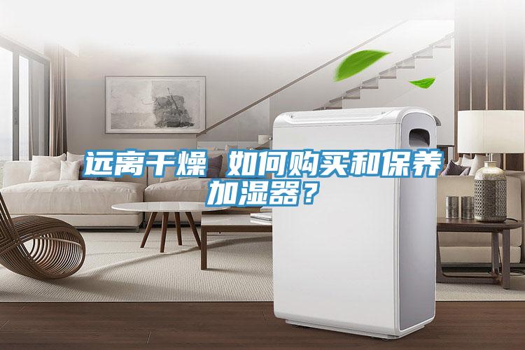 遠離干燥 如何購買和保養加濕器?