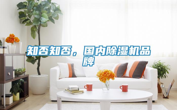 知否知否，國內除濕機品牌