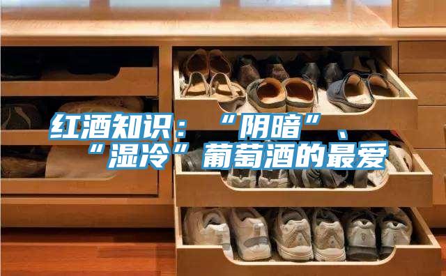 紅酒知識:“陰暗”、“濕冷”葡萄酒的最愛