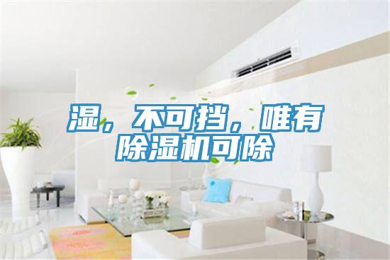 濕,不可擋,唯有除濕機可除