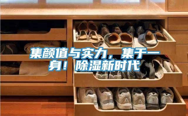 集顏值與實力,集于一身!除濕新時代