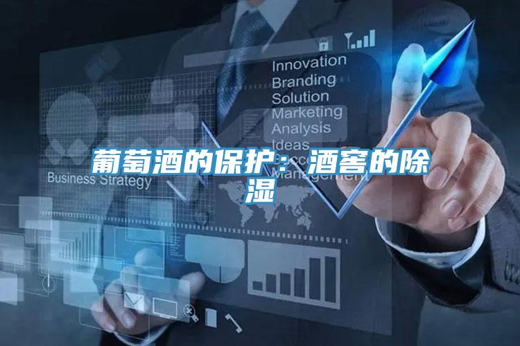 葡萄酒的保護(hù):酒窖的除濕