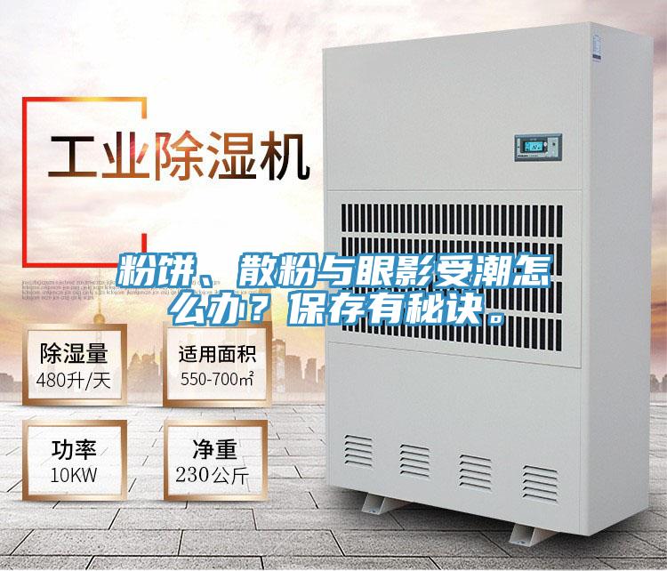 粉餅、散粉與眼影受潮怎么辦？保存有秘訣。