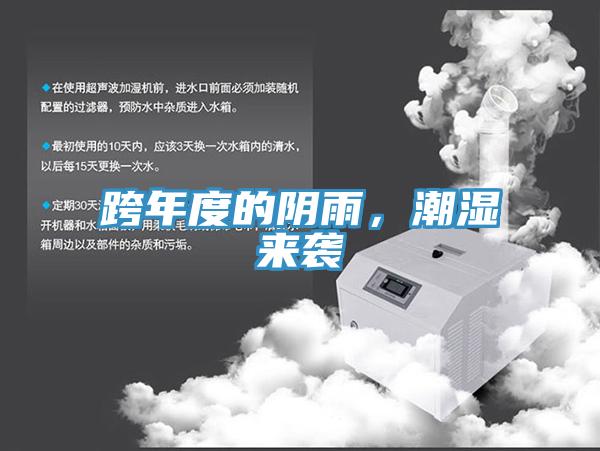 跨年度的陰雨,潮濕來襲