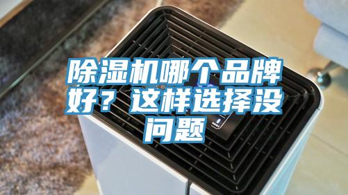除濕機哪個品牌好?這樣選擇沒問題