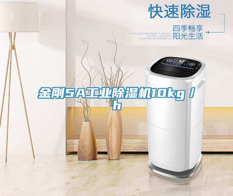 金剛5A工業除濕機10kg/h