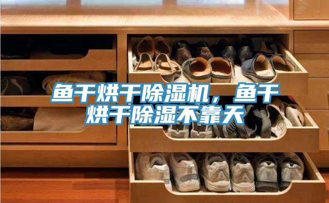 魚干烘干除濕機,魚干烘干除濕不靠天