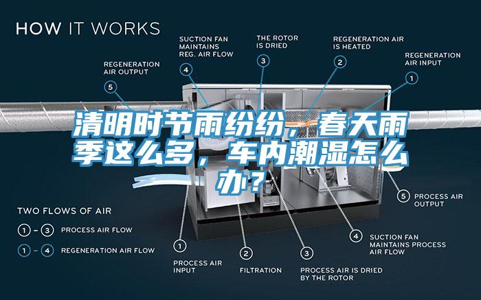 清明時節(jié)雨紛紛，春天雨季這么多，車內(nèi)潮濕怎么辦？