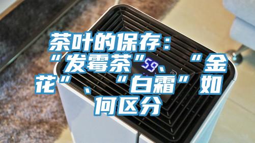 茶葉的保存:“發(fā)霉茶”、“金花”、“白霜”如何區(qū)分