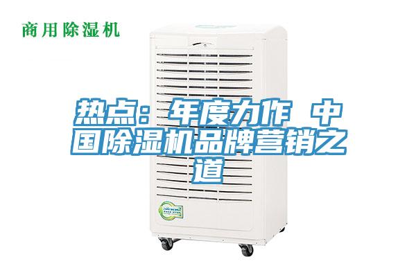 熱點：年度力作 中國除濕機(jī)品牌營銷之道