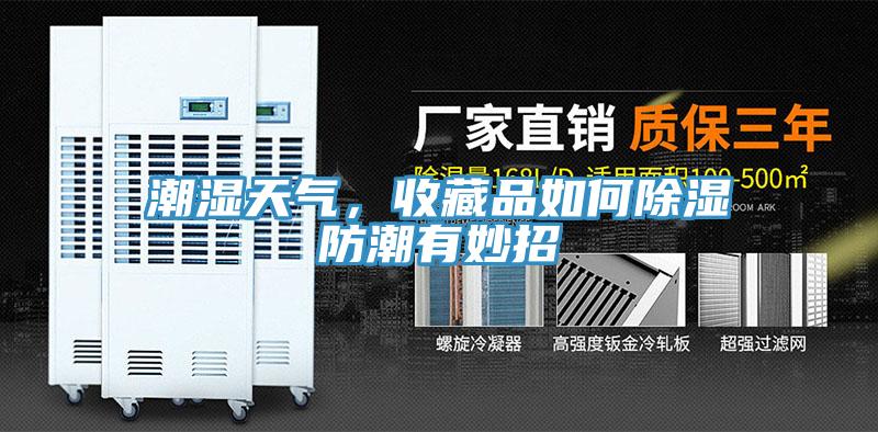 潮濕天氣,收藏品如何除濕防潮有妙招