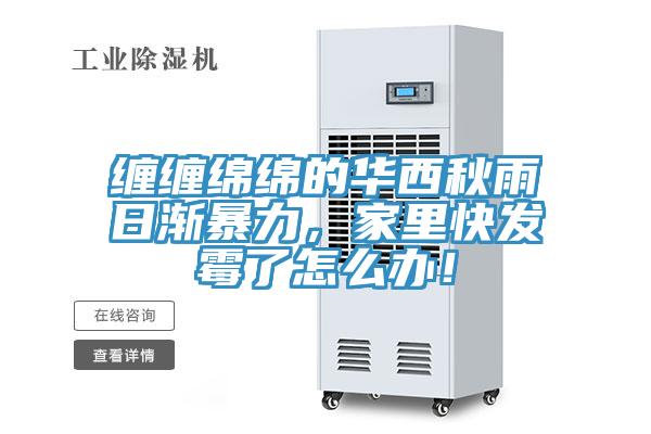 纏纏綿綿的華西秋雨日漸暴力，家里快發(fā)霉了怎么辦！