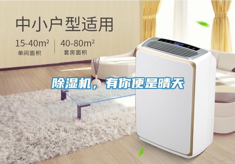 除濕機(jī)，有你便是晴天