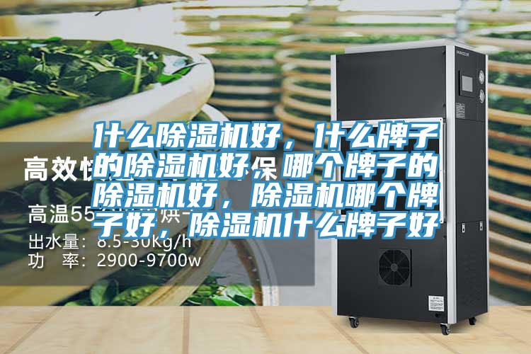 什么除濕機好，什么牌子的除濕機好，哪個牌子的除濕機好，除濕機哪個牌子好，除濕機什么牌子好