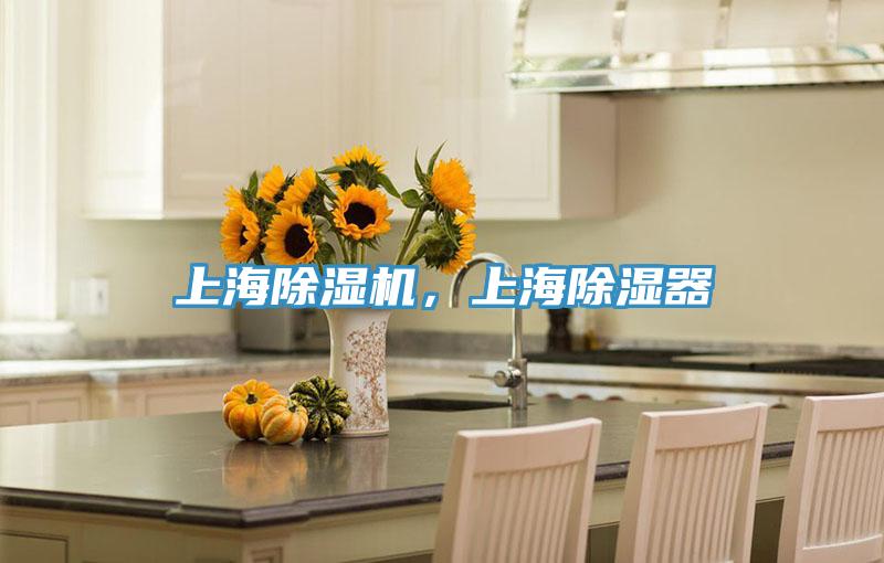 上海除濕機,上海除濕器