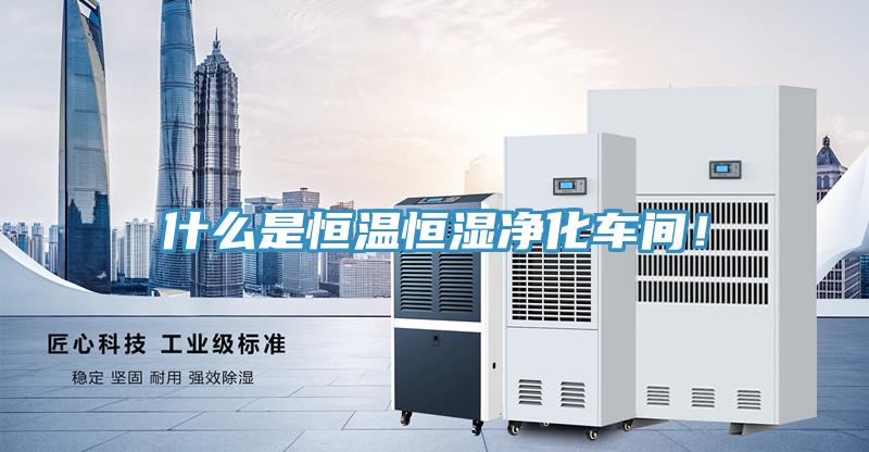 什么是恒溫恒濕凈化車間！