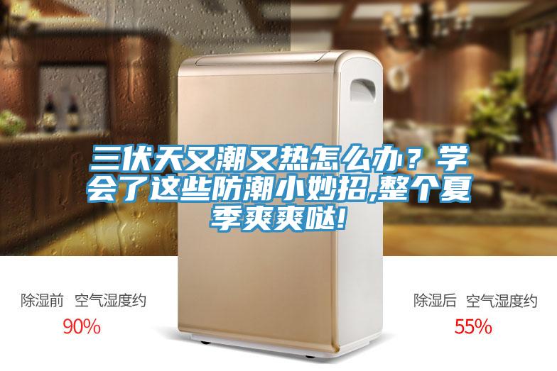 三伏天又潮又熱怎么辦?學(xué)會了這些防潮小妙招,整個夏季爽爽噠!