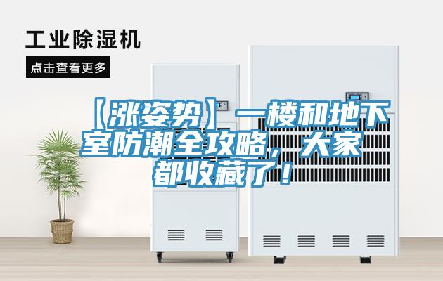 【漲姿勢】一樓和地下室防潮全攻略,大家都收藏了!