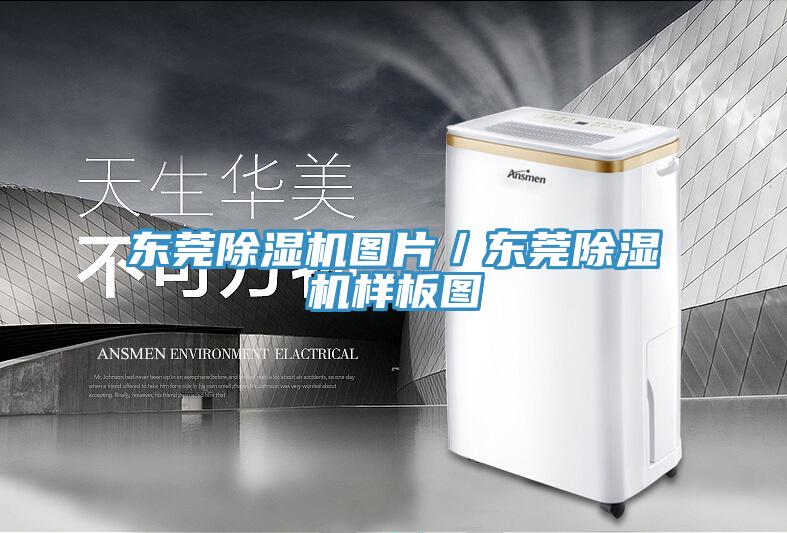 東莞除濕機圖片/東莞除濕機樣板圖