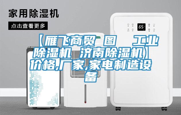 【雁飛商貿 圖 工業(yè)除濕機 濟南除濕機】價格,廠家,家電制造設備