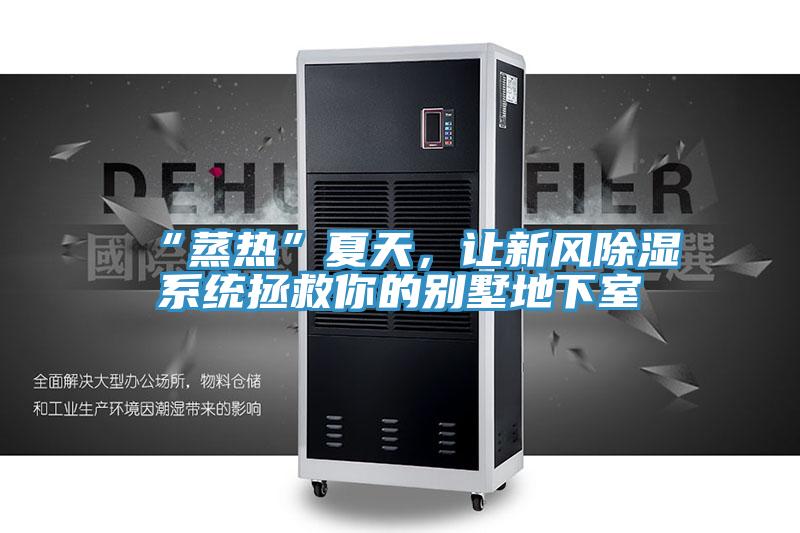 “蒸熱”夏天，讓新風除濕系統拯救你的別墅地下室