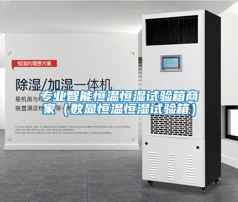 專業智能恒溫恒濕試驗箱商家(數顯恒溫恒濕試驗箱)