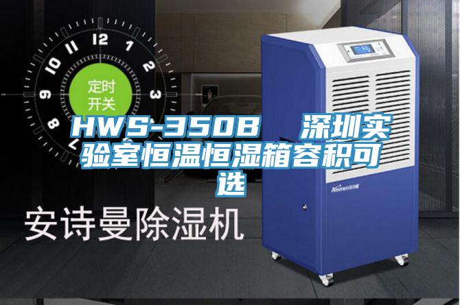 HWS-350B 深圳實驗室恒溫恒濕箱容積可選
