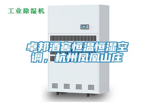 卓邦酒窖恒溫恒濕空調，杭州鳳凰山莊