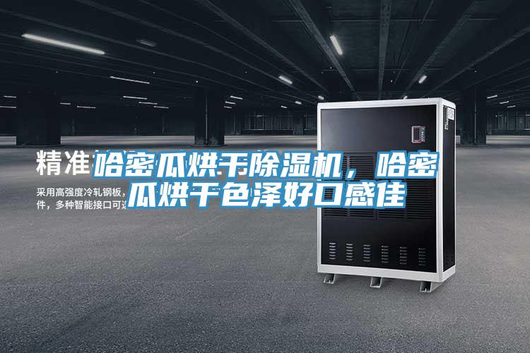 哈密瓜烘干除濕機,哈密瓜烘干色澤好口感佳