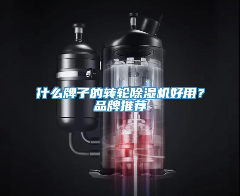 什么牌子的轉輪除濕機好用?品牌推薦
