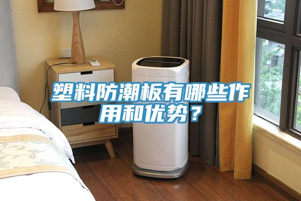 塑料防潮板有哪些作用和優(yōu)勢(shì)?
