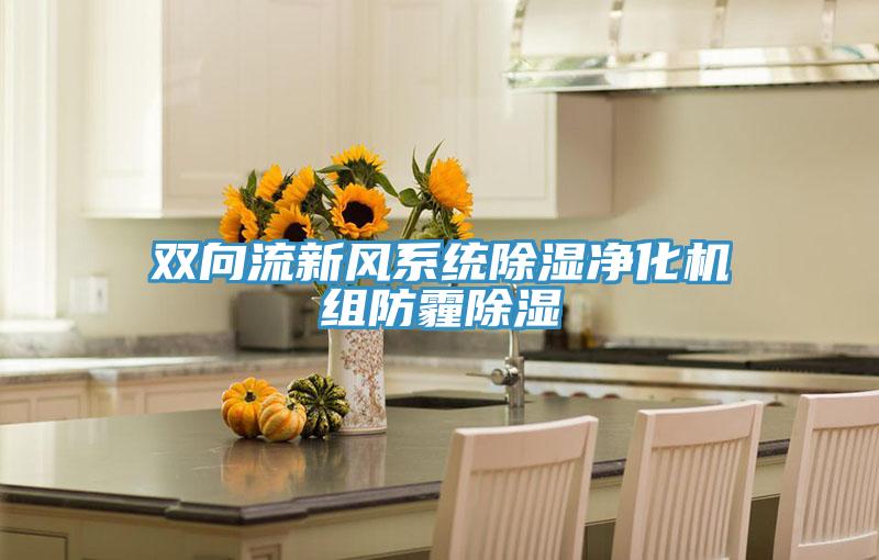 雙向流新風(fēng)系統(tǒng)除濕凈化機(jī)組防霾除濕