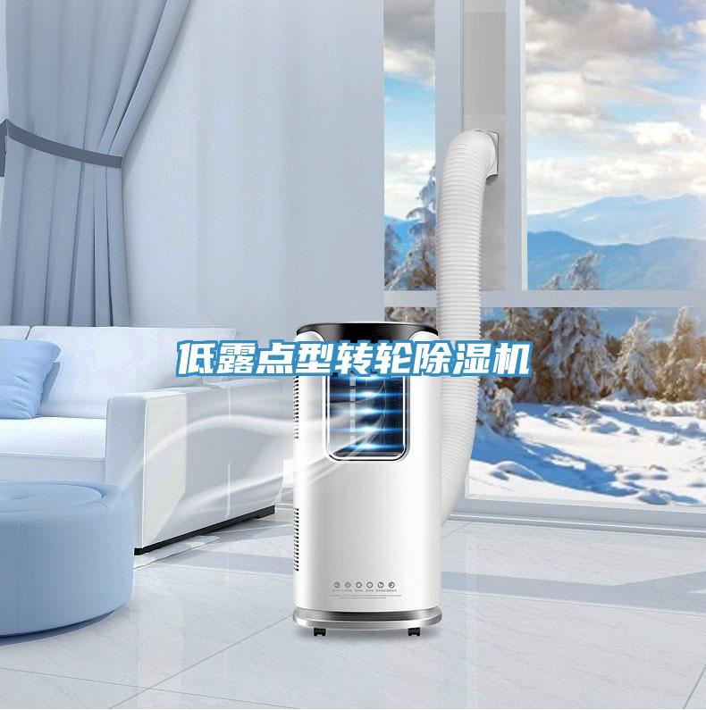 低露點型轉(zhuǎn)輪除濕機(jī)