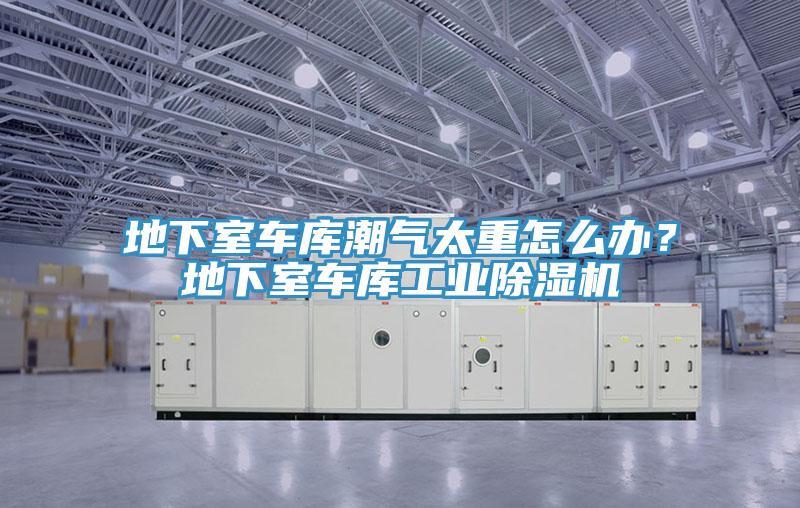 地下室車庫(kù)潮氣太重怎么辦?地下室車庫(kù)工業(yè)除濕機(jī)