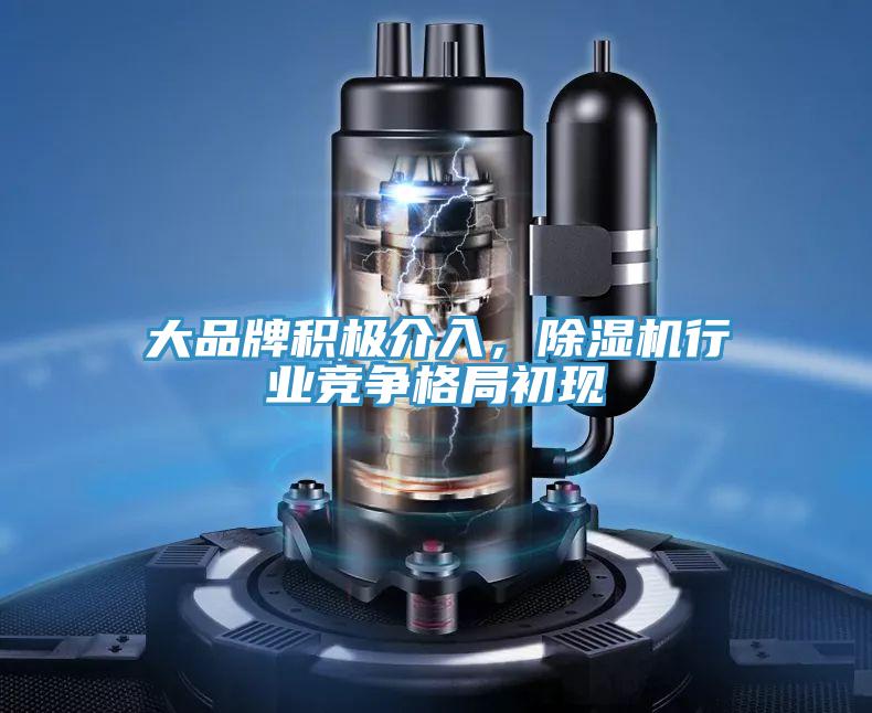 大品牌積極介入，除濕機(jī)行業(yè)競(jìng)爭(zhēng)格局初現(xiàn)