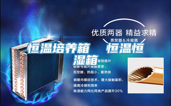恒溫培養箱 恒溫恒濕箱