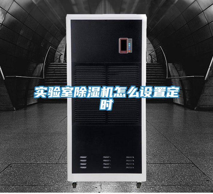 實驗室除濕機怎么設(shè)置定時