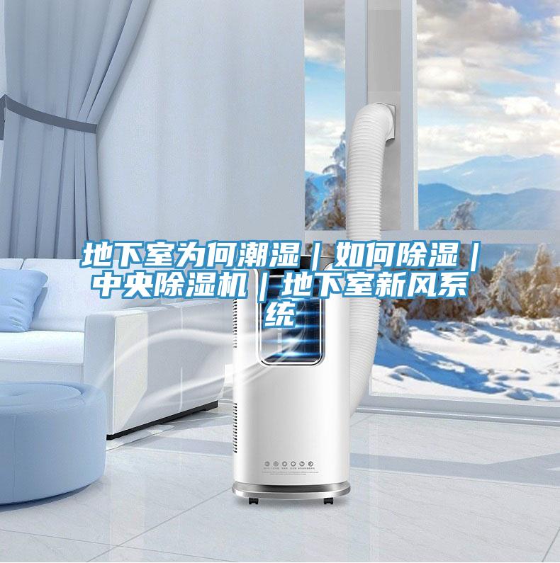 地下室為何潮濕｜如何除濕｜中央除濕機｜地下室新風(fēng)系統(tǒng)