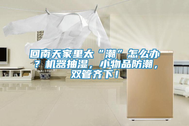 回南天家里太“潮”怎么辦？機器抽濕，小物品防潮，雙管齊下！