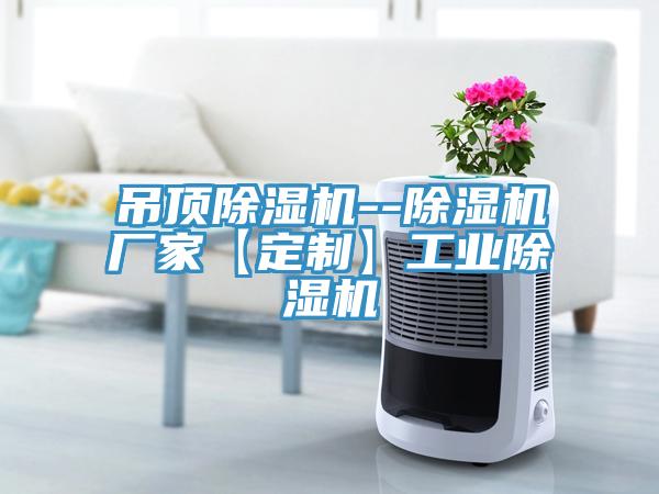 吊頂除濕機--除濕機廠家【定制】工業除濕機