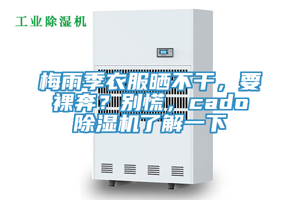 梅雨季衣服曬不干，要裸奔？別慌，cado除濕機(jī)了解一下