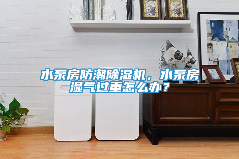 水泵房防潮除濕機，水泵房濕氣過重怎么辦？