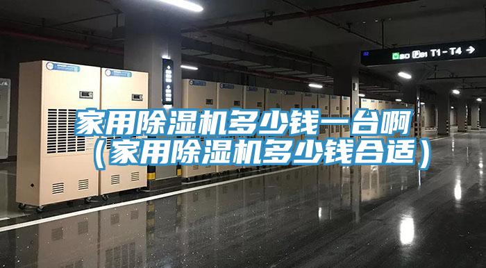 家用除濕機多少錢一臺?。矣贸凉駲C多少錢合適）