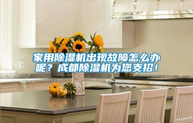 家用除濕機出現故障怎么辦呢?成都除濕機為您支招!