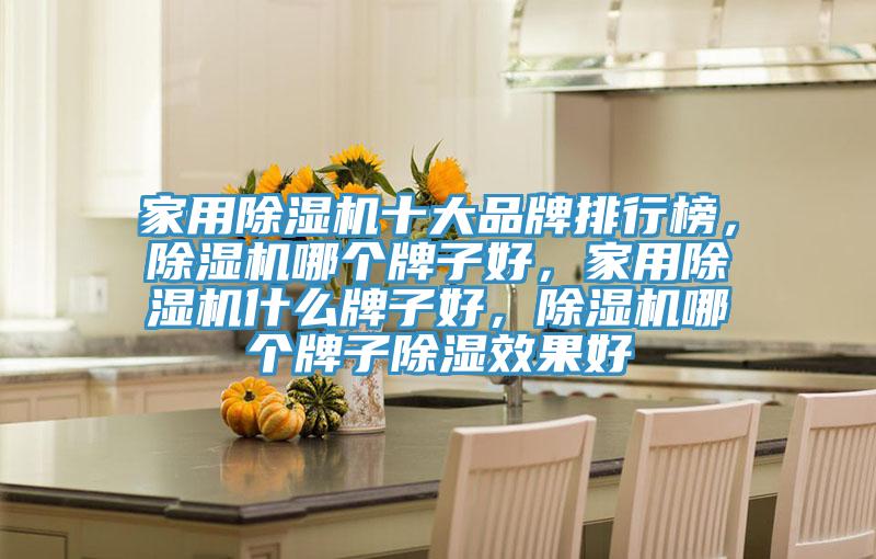 家用除濕機十大品牌排行榜，除濕機哪個牌子好，家用除濕機什么牌子好，除濕機哪個牌子除濕效果好