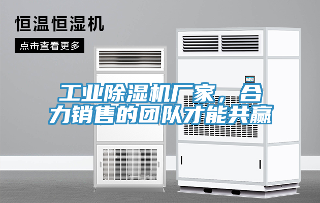 工業除濕機廠家,合力銷售的團隊才能共贏