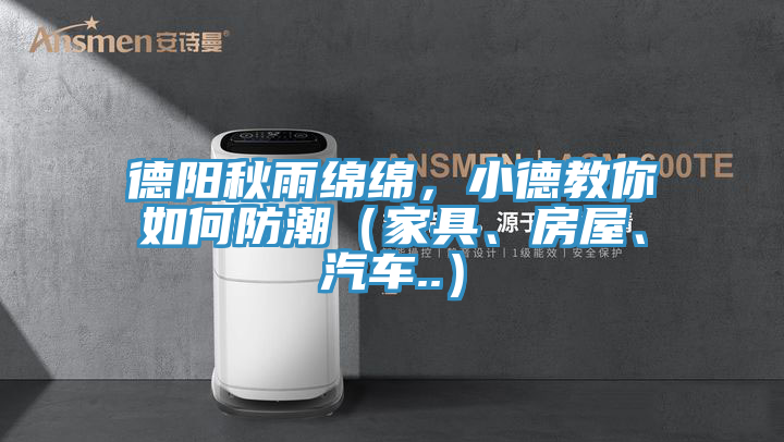 德陽秋雨綿綿，小德教你如何防潮（家具、房屋、汽車..）