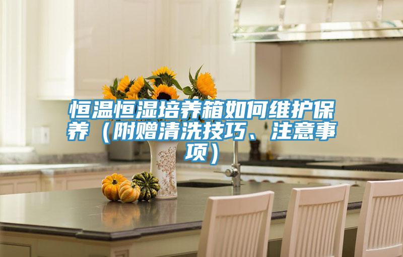 恒溫恒濕培養(yǎng)箱如何維護保養(yǎng)（附贈清洗技巧、注意事項）